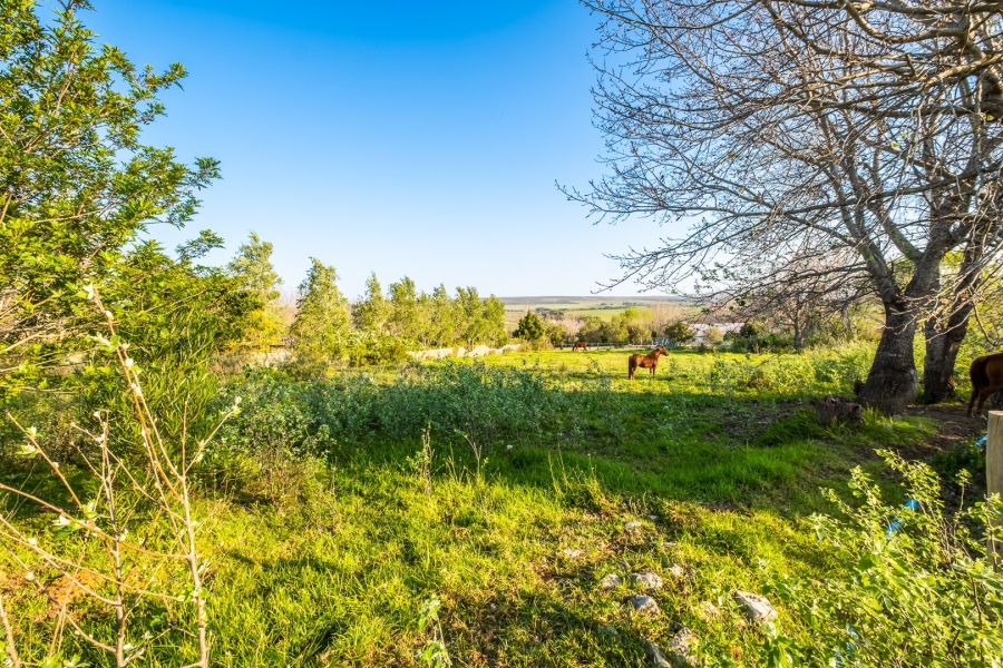 Commercial Property for Sale in Baardskeerdersbos Western Cape
